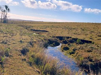 Venta Campo Ganadero en Piraraja