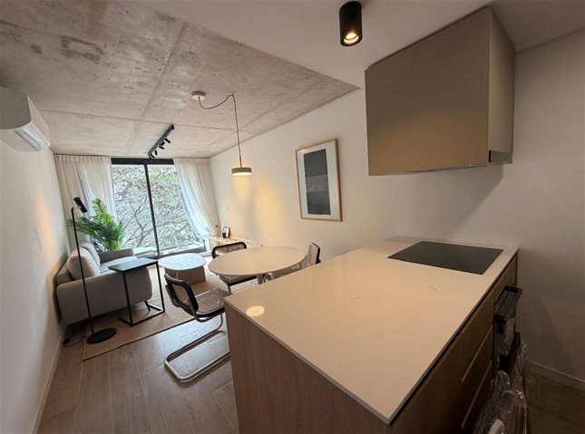 PUNTA CARRETAS Pre Venta apartamento Penthouse Piso 10 de 1 Dormitorio, terrazas al frente y contrafrente, vistas despejadas, barbacoa, piscina - Entrega: Abril 2027 - foto 3