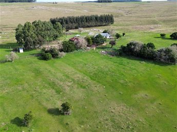 Venta Campo Ganadero-Forestal Sobre Ruta 14