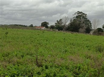 Venta Chacra 14 hectareas en Progreso