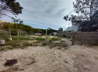 Terreno Punta Pinares 700m nivelado y limpio, sobre la playa