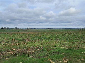 Venta Campo Migues sobre Ruta 80