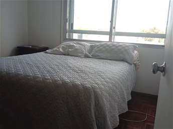Excelente Apartamento 3 Dormitorios 2 Baños Sobre Avenida italia - foto 7