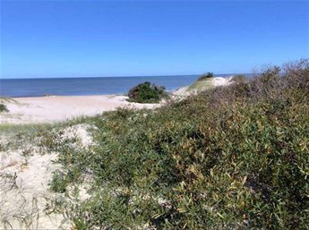 EL PINAR Punta Pinares Venta muy buen Terreno en primera línea frente al mar, 901m2 de superficie, Padrón 47478