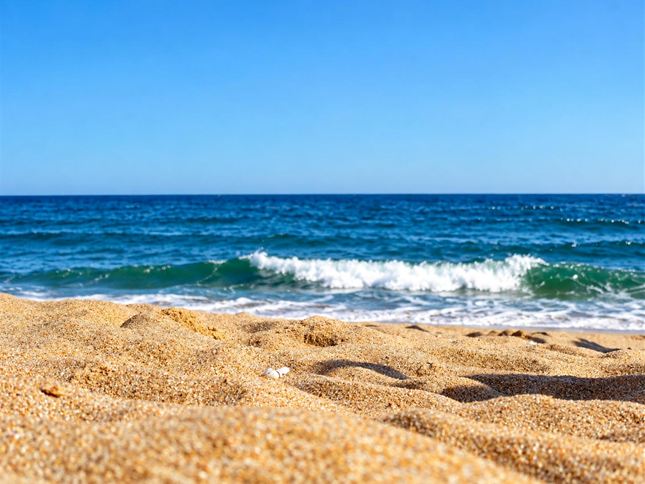 2.600 m2 sobre playa océanica, primera línea - foto 2