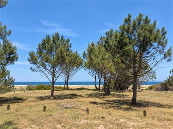 2.600 m2 sobre playa océanica, primera línea - foto 5
