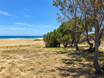 2.600 m2 sobre playa océanica, primera línea - foto 7