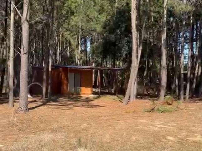 VENTA DE TERRENO CON CABAÑA MONOAMBIENTE EN GUAZUVIRÁ NUEVO.CON USD 40.000 LO PODÉS RESERVAR. - foto 4