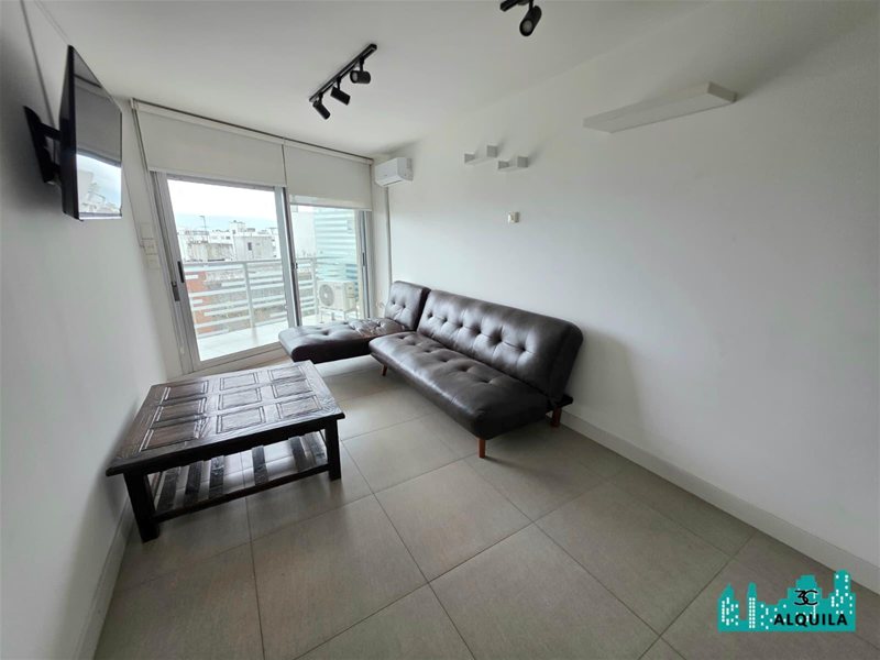 ALQUILER! ESPECTACULAR UNIDAD DE 1 DORM EN NOVENO PISO AL FTE! TERRAZA HACIA AV BRASIL! EDIFICIO C/PISCINA Y BARBACOA! GARAGE EXCLUSIVO! POCITOS! - foto 2