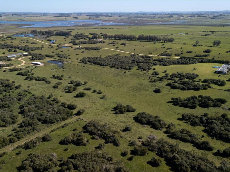 Venta Campo José Ignacio 20 hectareas - foto 3