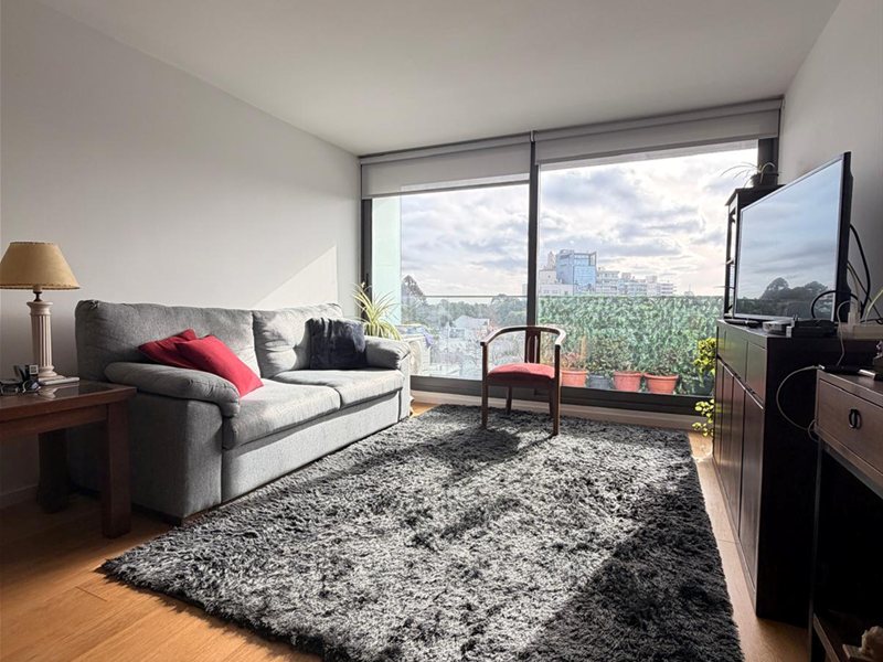Venta de apartamento, 2 dormitorios, 3 baños, garaje, vista. Punta Carretas. PEYROU - foto 1