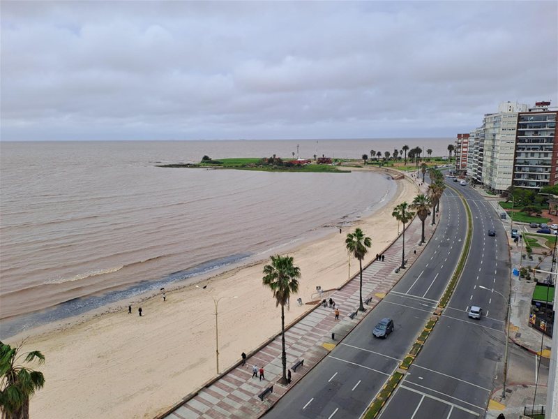 apartamento en rambla Pocitos 3 dormitorios servicio garaje terrazas - foto 2