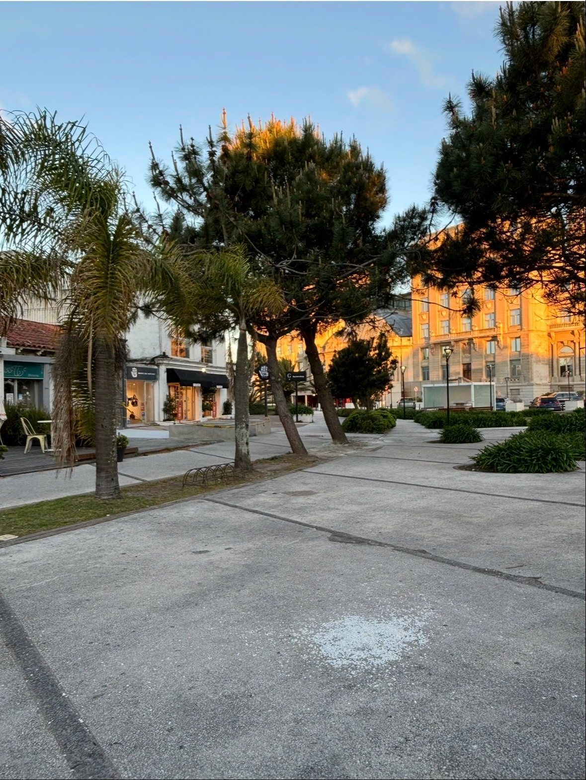 Alquiler local comercial Carrasco · Foto 4