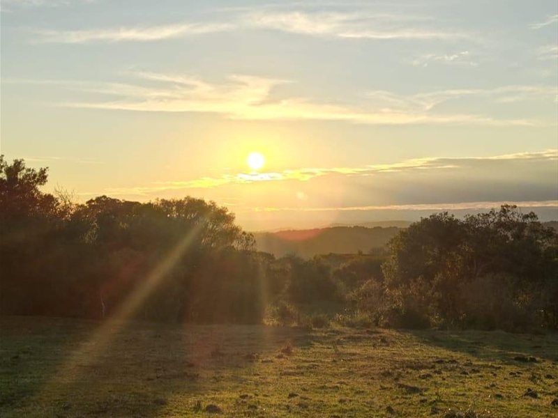 Venta de chakras únicas cerca de Aiguá. Con luz, caminos realizados. Documentación al día y en regla. Con USD 10000 reserva la tuya y financia el resto. - foto 3