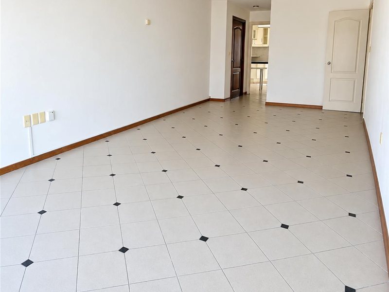 Venta apartamento 3 dormitorios 2 baños completos 2 garajes Osorio y B. Blanco Pocitos - foto 4