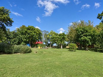 Venta De Chacra Excepcional En Colonia Suiza con área productiva Ref:4636 - foto 4