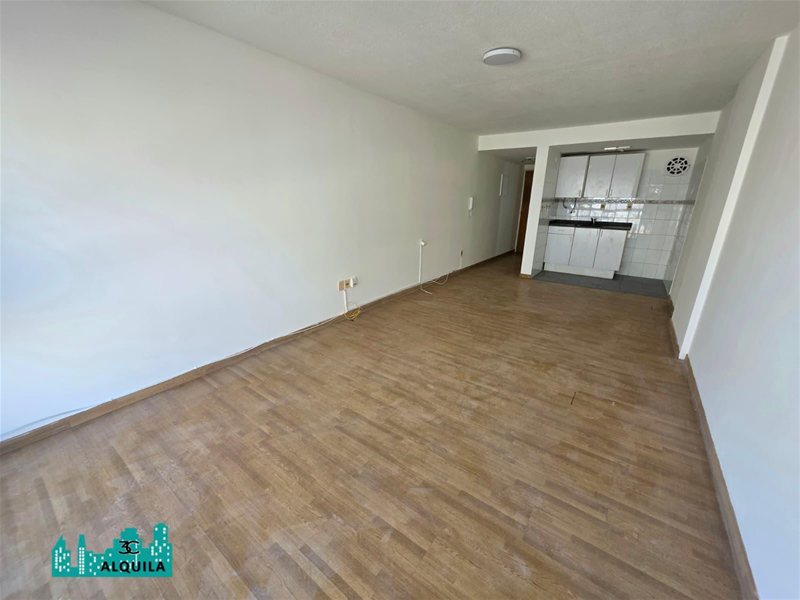 ALQUILA! AMPLIO MONOAMBIENTE AL FRENTE! IDEAL VIVIENDA, OFICINA O CONSULTORIO! A POCAS CUADRAS DE LA RAMBLA DE POCITOS! - foto 3