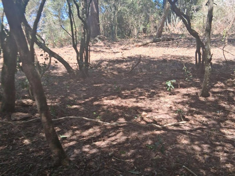 Venta Terreno en Ocean Park, súper ubicación! - foto 3