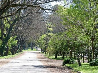 EN VENTA IDEAL INVERSIÓN HOSTERIA EN SANTA ANA, COLONIA A MINUTOS DEL CENTRO DE LA CIUDAD. - foto 7