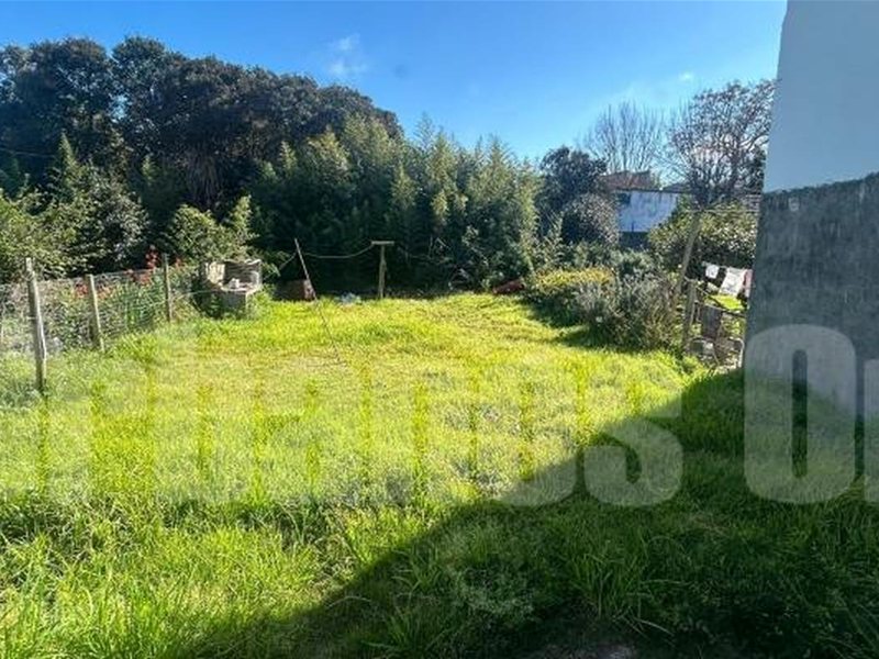 Venta de Casa en zona de Dos Avenidas en Colonia del Sacramento - Ref. 6058 - foto 2