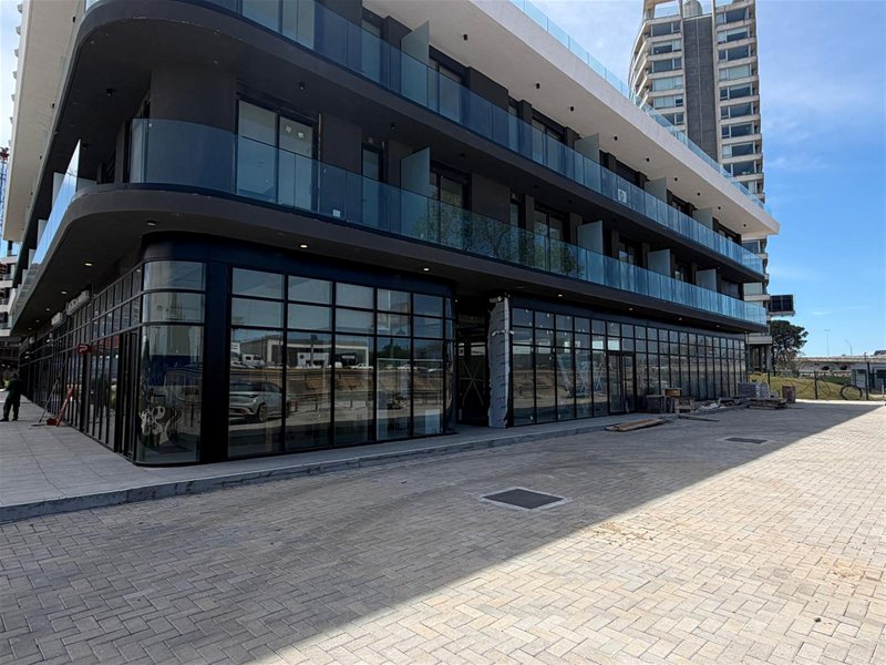 CARRASCO ESTE Alquiler Local Comercial de muy buena visibilidad, 500m2, ideal automotoras - foto 1