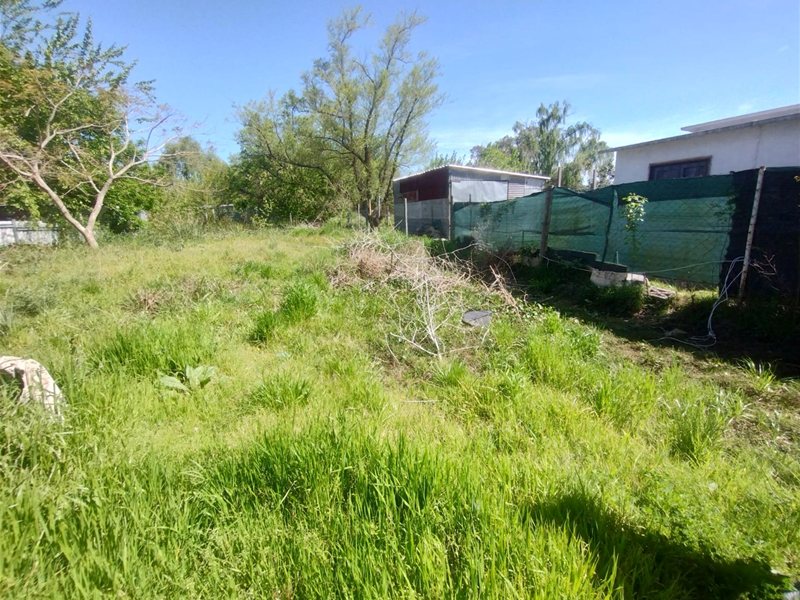 Venta de terreno de 1.002 m² en Pinar Norte – Con mejoras - foto 4