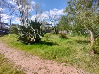 Terreno en El Pinar