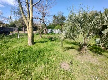 Terreno en El Pinar