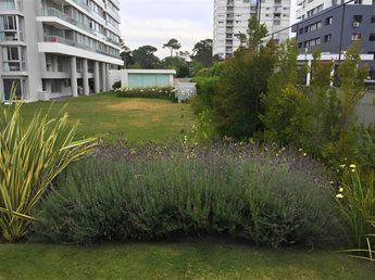 Apartamento en Punta del Este - Playa Mansa