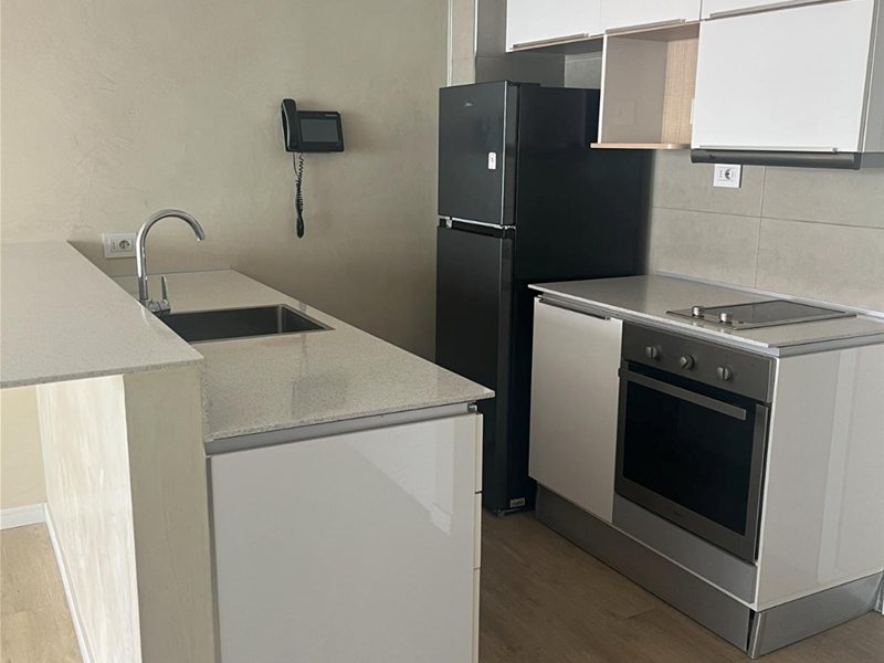 ALQUIELR APARTAMENTO PUNTA CARRETAS 1 DORMITORIO AMPLIA TERRAZA  PLACARES GARAJE.MUY LINO! - foto 3