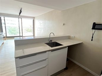 ALQUIELR APARTAMENTO PUNTA CARRETAS 1 DORMITORIO AMPLIA TERRAZA  PLACARES GARAJE.MUY LINO! - foto 5