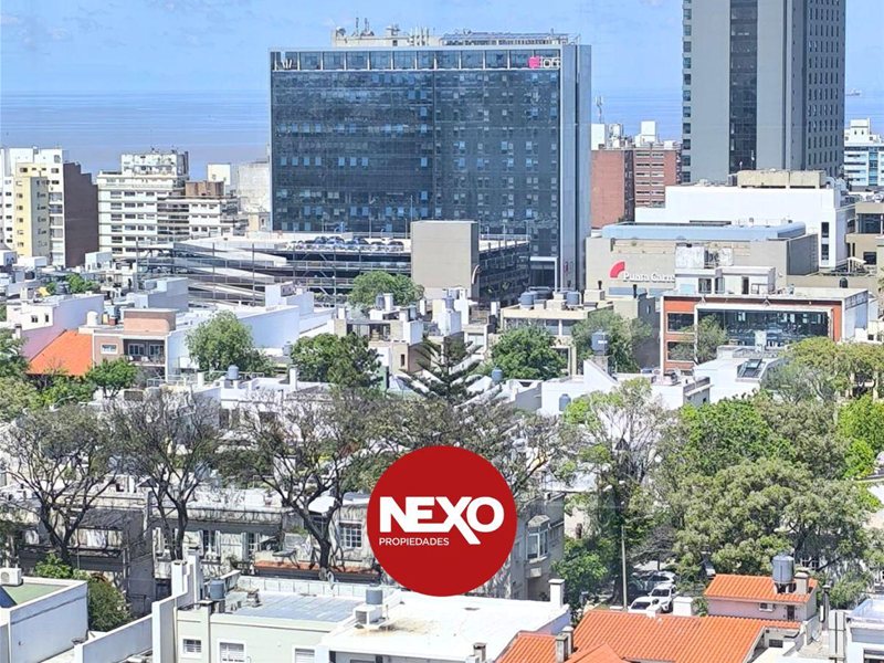 Monoambiente amoblado sobre Ellauri esq. Blanca del Tabaré - foto 3
