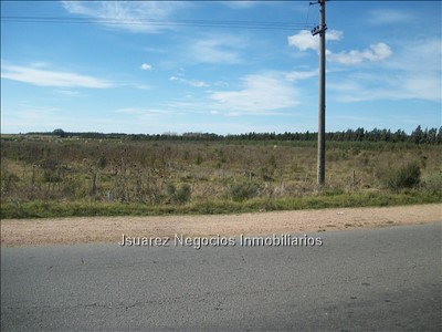 J.S. Gran terreno en cruce de rutas - foto 2