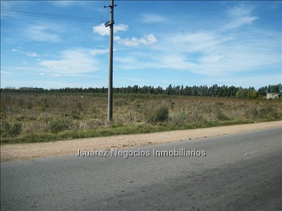 J.S. Gran terreno en cruce de rutas - foto 1
