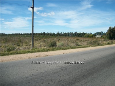 J.S. Gran terreno en cruce de rutas - foto 3